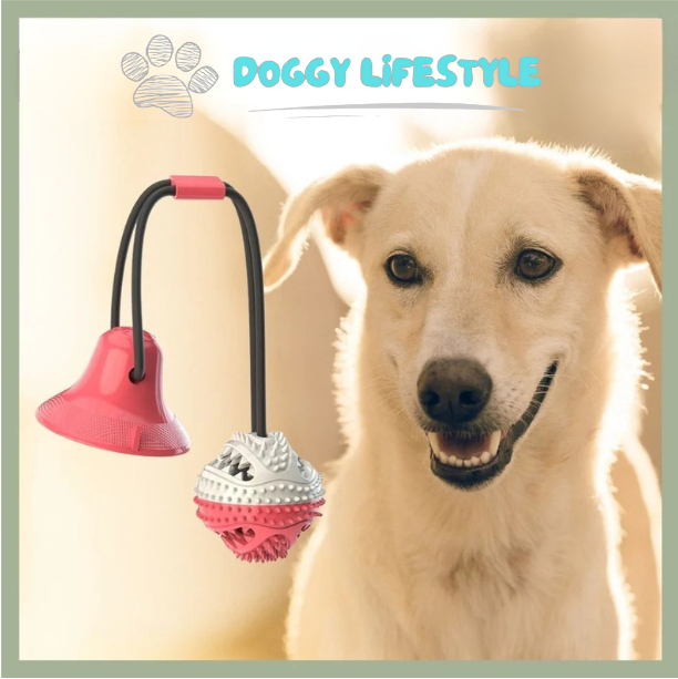 Tir-Fort™: Jouet Chien Interactif - Stimule et Divertit Votre Chien