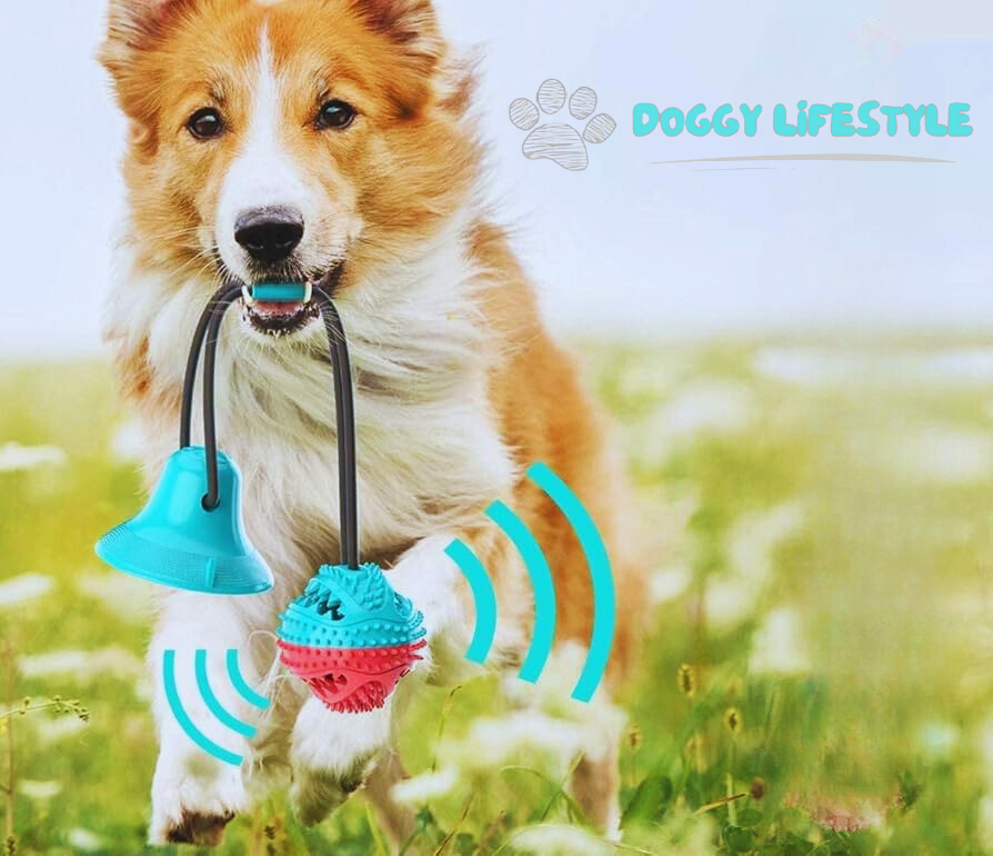 Tir-Fort™: Jouet Chien Interactif - Stimule et Divertit Votre Chien