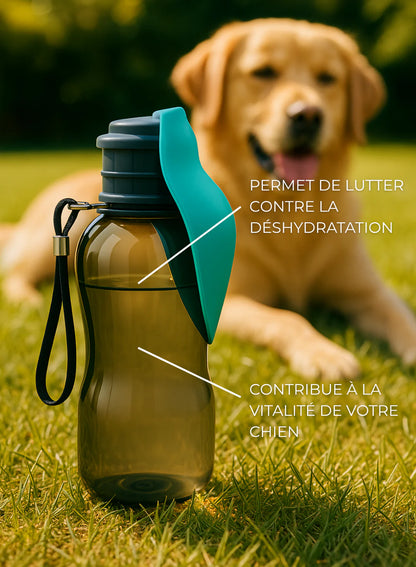 Gourde pour chien - 800ml