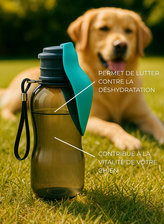 Gourde pour chien - 800ml