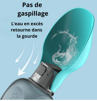 Gourde pour chien - 800ml