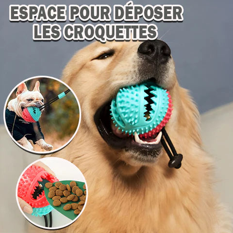 Tir-Fort™: Jouet Chien Interactif - Stimule et Divertit Votre Chien