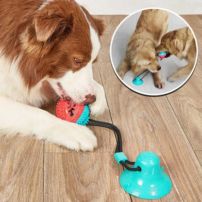 Tir-Fort™: Jouet Chien Interactif - Stimule et Divertit Votre Chien